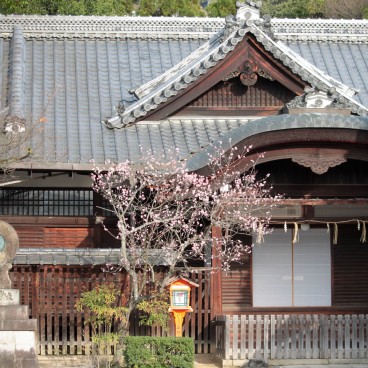 Yasaka-jinja (Kyoto), pavillons du sanctuaire 2