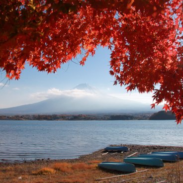 Lac Kawaguchiko (Fujikawaguchiko), vue sur le Mont Fuji en période de Koyo à l'automne
