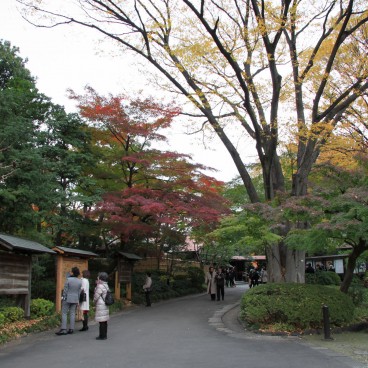 Koishikawa Korakuen (Tokyo) en automne 2