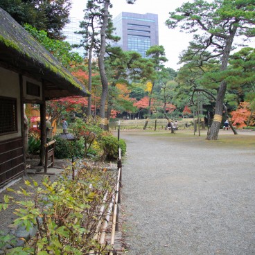 Koishikawa Korakuen (Tokyo) en automne 10