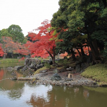 Koishikawa Korakuen (Tokyo) en automne 11
