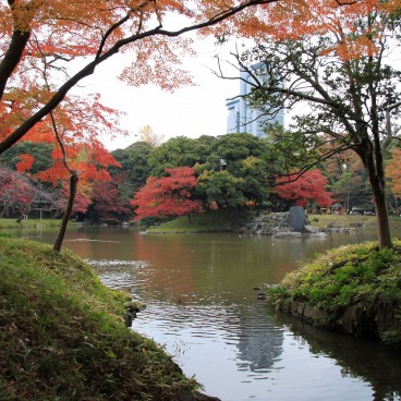 Koishikawa Korakuen (Tokyo) en automne 14