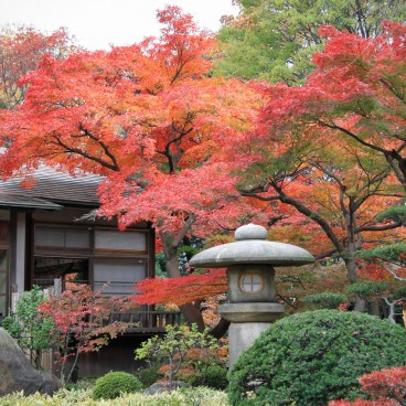 Koishikawa Korakuen (Tokyo) en automne 4