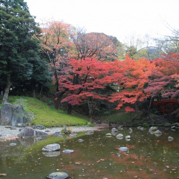 Koishikawa Korakuen (Tokyo) en automne 5