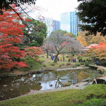 Koishikawa Korakuen (Tokyo) en automne 6