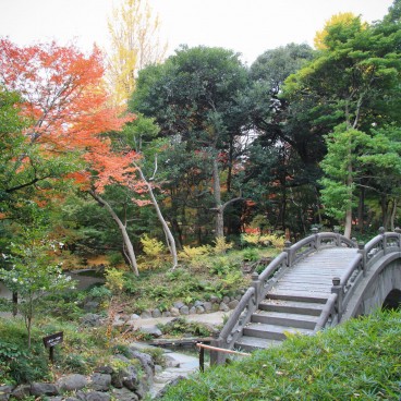 Koishikawa Korakuen (Tokyo) en automne 7