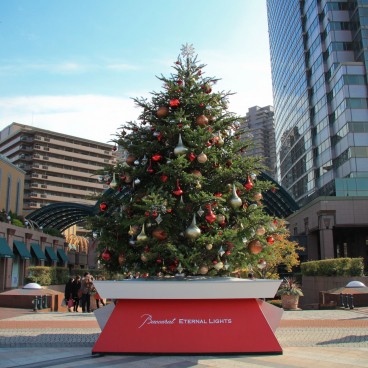 sapin-noel-ebisu