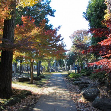 Gotoku-ji (Tokyo), Cimetière dans l'enceinte du temple en automne