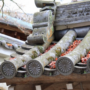 Daisho-in (Miyajima), Vieux toit de tuiles couvert de feuilles d'érable en automne