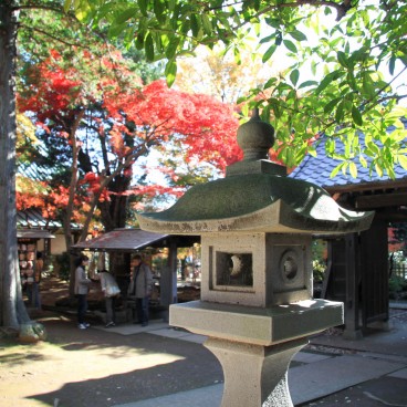 Gotoku-ji (Tokyo), Enceinte du temple en automne