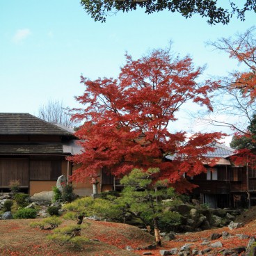 Hikone, Vue du jardin du château en automne