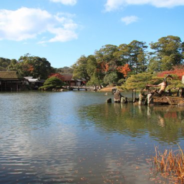 Chateau de Hikone (Shiga), plan d'eau du jardin Genkyu-en en automne