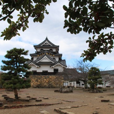 Chateau de Hikone (Shiga), vue du donjon dans l'enceinte Honmaru
