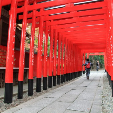 Château d'Inuyama (préfecture d'Aichi), Couloir de portes torii