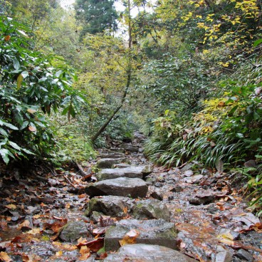 Mont Takao (Tokyo), Chemin de randonnée dans la forêt 2
