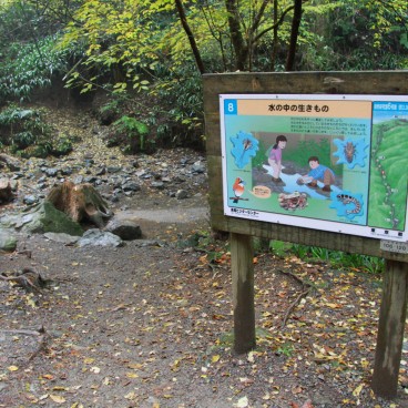 Mont Takao (Tokyo), Panneau du parcours éducatif sur l'environnement de la forêt
