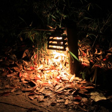 Rikugi-en (Tokyo), éclairage du jardin en automne