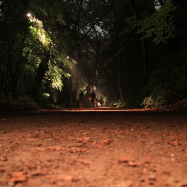 Rikugi-en (Tokyo), vue nocturne d'un chemin de promenade