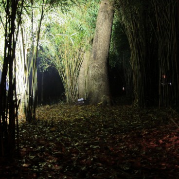 Rikugi-en (Tokyo), vue nocturne d'un chemin de promenade bordé de bambous