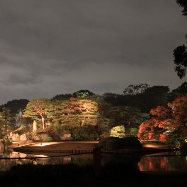 Rikugi-en (Tokyo), vue d'ensemble sur le light-up des momiji en automne