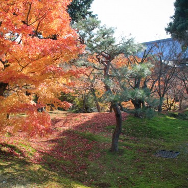 Tofuku-ji (Kyoto), Enceinte du temple en automne