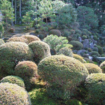 Tofuku-ji (Kyoto), Buissons dans le jardin