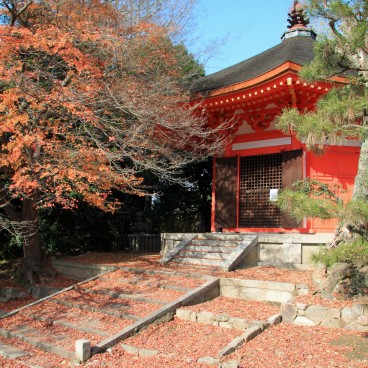Tofuku-ji (Kyoto), Pavillon Aizen-do en automne