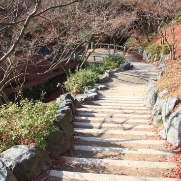 Tofuku-ji (Kyoto), Escaliers dans l'enceinte du temple en automne