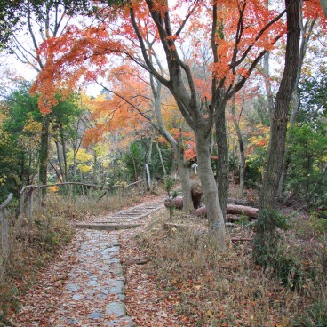 Mont Daimonji à Kyoto, Chemin de randonnée en automne
