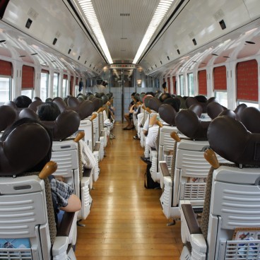 dans-train-japonais