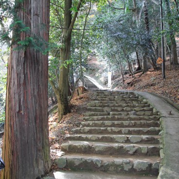 Iwatayama à Kyoto, Randonnée pour le sommet de la montagne