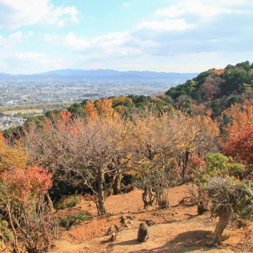 Iwatayama à Kyoto, Vue sur la ville depuis le parc aux singes en automne