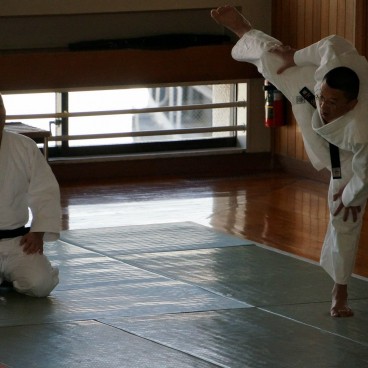 Kodokan (Tokyo), Session d'entraînement 7