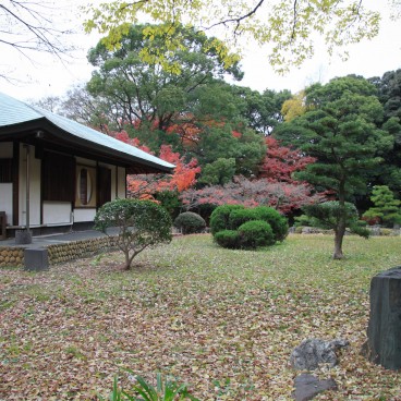 Château de Nagoya, jardin japonais et maison de thé du site à l'automne
