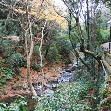 Parc de Minoh en automne, sentier pédestre dans la vallée forestière