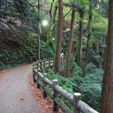 Parc de Minoh (Osaka), Chemin de randonnée en automne 2