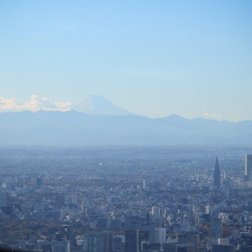Tokyo SkyTree, Vue sur le Mont Fuji