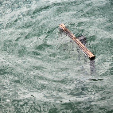 Itsukushima, panneau immergé qui indique le niveau de la marée pour le Torii de Miyajima