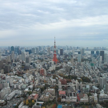 Tokyo City View (Roppongi), Vue sur Tokyo Tower depuis la Tour Mori 