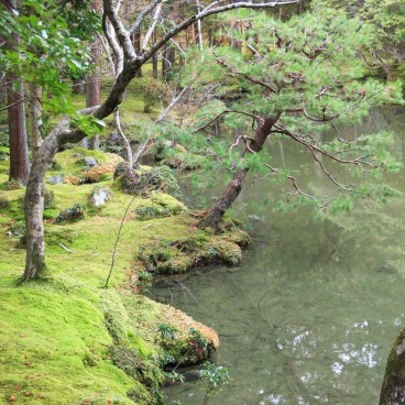 Saiho-ji temple Koke-dera (Kyoto), Jardin de mousses en automne 6
