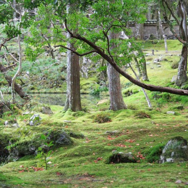 Saiho-ji temple Koke-dera (Kyoto)
