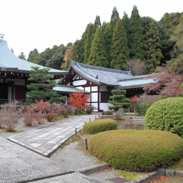 Saiho-ji temple Koke-dera (Kyoto), Jardin de mousses en automne 11