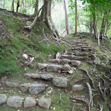 Saiho-ji temple Koke-dera (Kyoto), Escalier de pierre dans le jardin