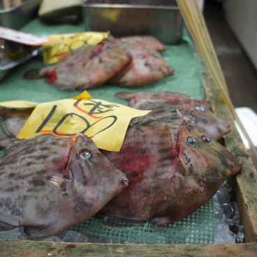 Marché aux poissons de Tsukiji, Poissons