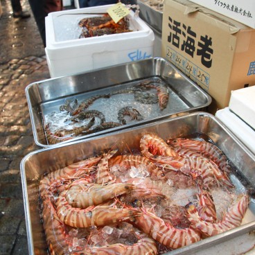 Marché aux poissons de Tsukiji, Crustacés 2