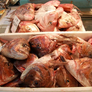 Marché aux poissons de Tsukiji, Têtes de poissons rouges