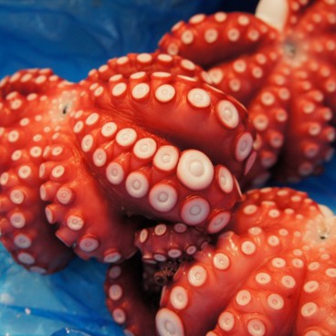 Marché aux poissons de Tsukiji, Pieuvres