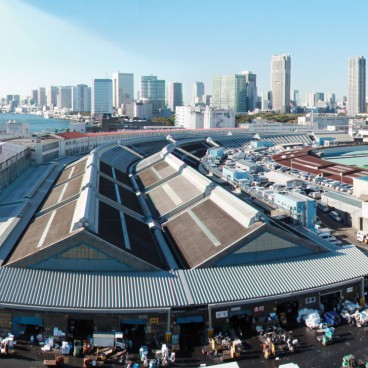 Panorama sur le marché couvert de Tsukiji, pris depuis un spot "caché" présenté par notre guide