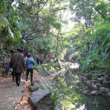 Vallée Todoroki (Tokyo), sentier pédestre au bord de l'eau 11