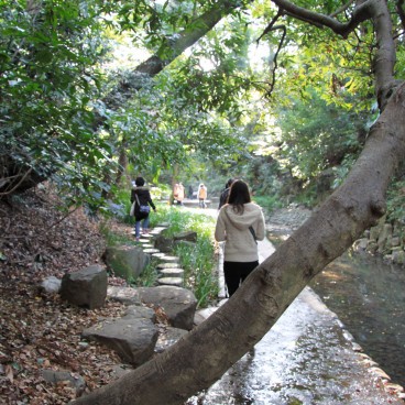 Vallée Todoroki (Tokyo), sentier pédestre au bord de l'eau 9
